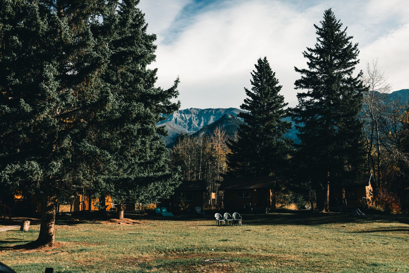 Wood-sided cabins in a grassy clearing ringed by tall evergreens, with lawn chairs out front and a rocky mountain ridge visible through a gap in the trees